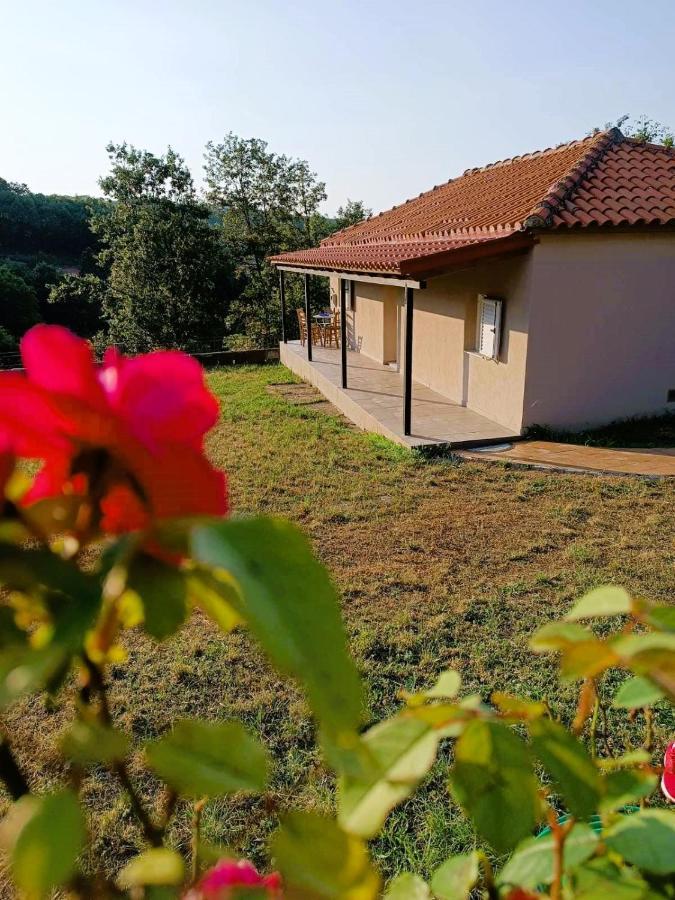 Villa Billy'S House Kalambaka Exterior foto